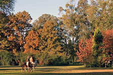 Argentina-Buenos Aires-Deluxe Buenos Aires Equestrian Escape